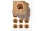Grizzly Bear Claw Paw Temporary Tattoo Water Resistant Fake Body Art Set Collection (1 Sheet)